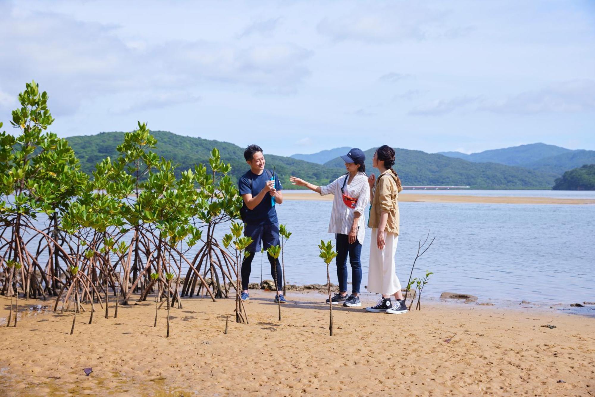 Iriomote Hotel By Hoshino Resorts Urauchi Zewnętrze zdjęcie