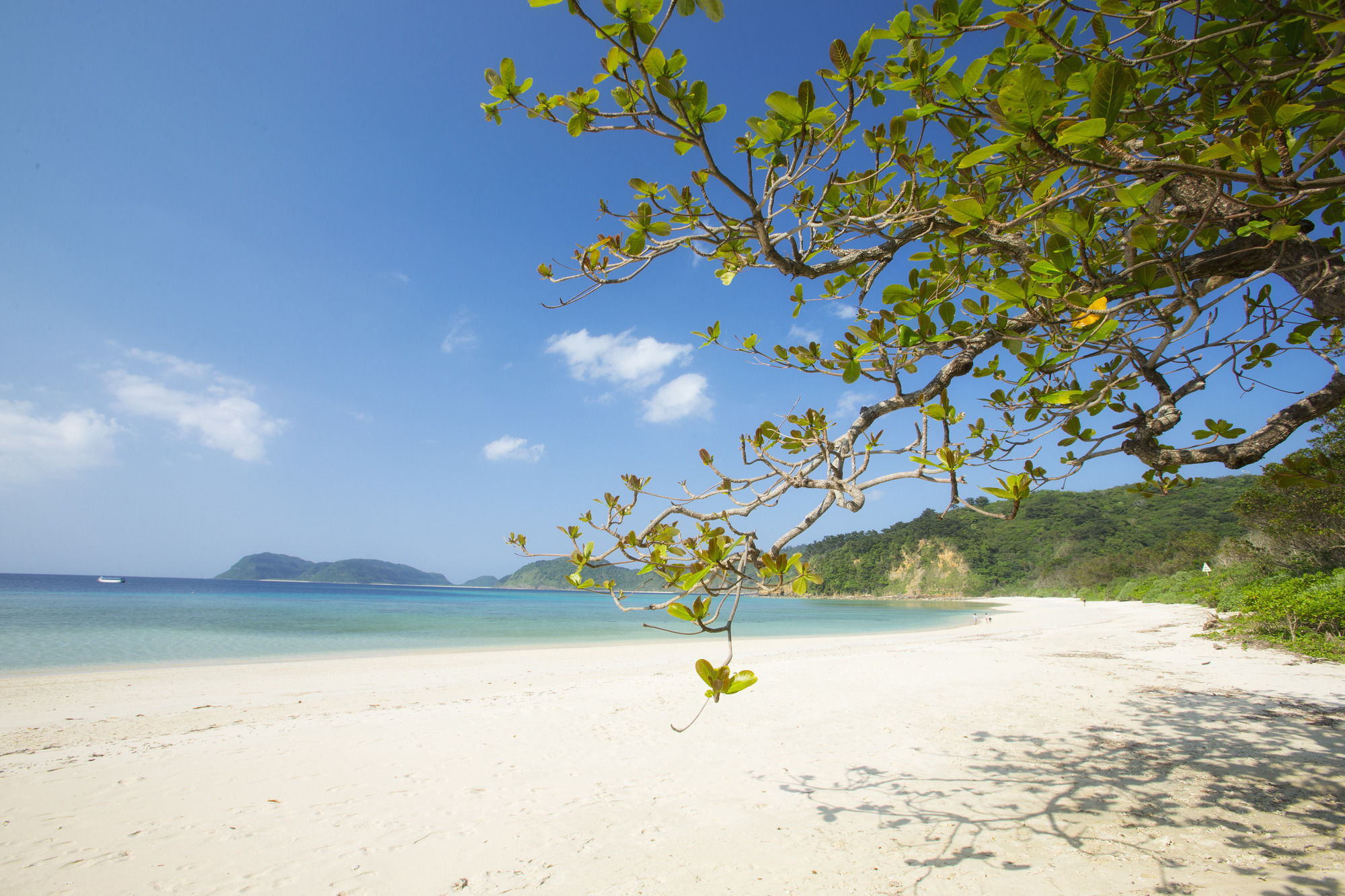 Iriomote Hotel By Hoshino Resorts Urauchi Zewnętrze zdjęcie